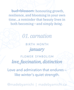 01. Carnation ✿ bud+blossom | Birth Flower Enamel Pin