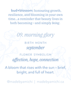 09. Morning Glory ✿ bud+blossom | Birth Flower Enamel Pin