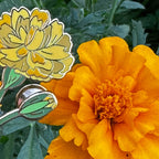 10. Marigold ✿ bud+blossom | Birth Flower Enamel Pin
